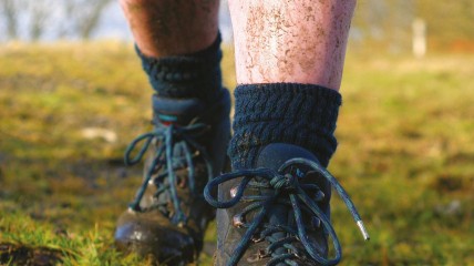 Wandeling Heldergem
