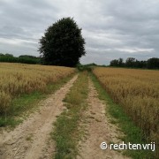 Vloerzegem