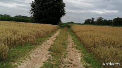 Avondwandelingen DAVIDSFONDS en FERM Outer